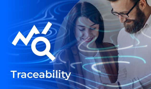 cplace-traceability-demicon